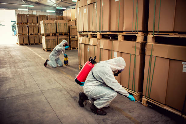 Best Affordable Pest Control Services  in Eustace, TX