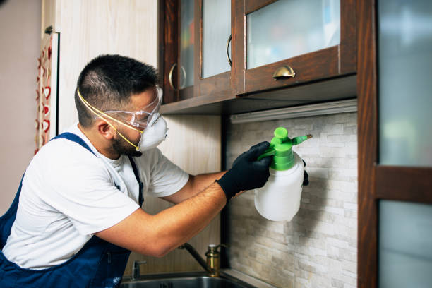 Flea Control Services in Eustace, TX
