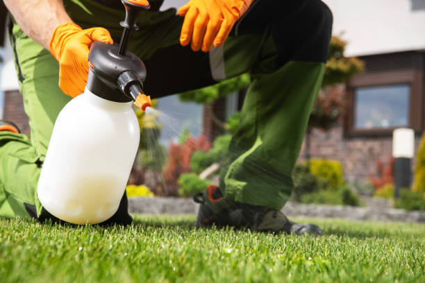 Best Residential Pest Control  in Eustace, TX