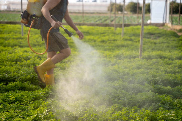 Best Mosquito Control Services  in Eustace, TX