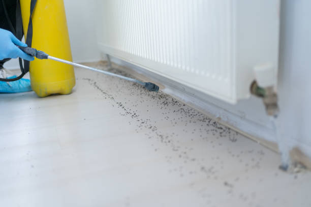 Best Pest Prevention Services  in Eustace, TX