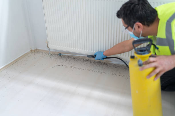 Best Local Pest Control Services  in Eustace, TX