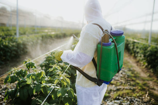 Best Pest Prevention Services  in Eustace, TX